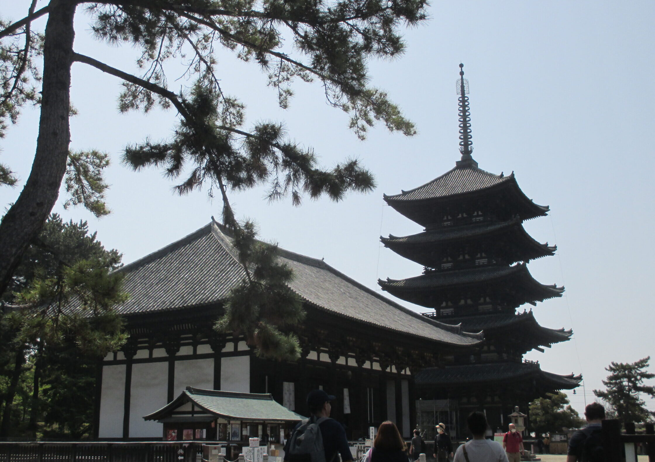 興福寺五重塔と東金堂