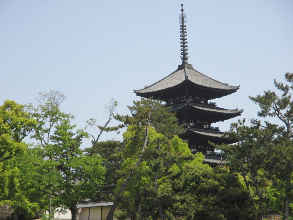 Kofukuji Temple-herd of deer-walk- https://hatetuba.com/